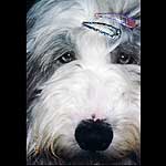 �W��������