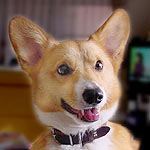 �W��������