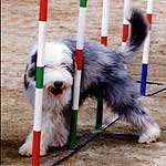 �W��������