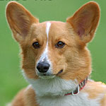 �J�u����