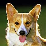 �q��Y����