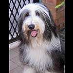 �}�M�[�����