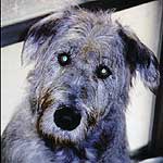 �}���Z������