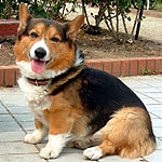 �̂т�����@���̈�