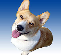 �A�^�V���E�E�E