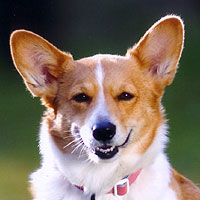 ���������E�E�E