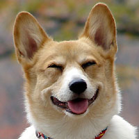 ����ȏΊ�ŁE�E�E