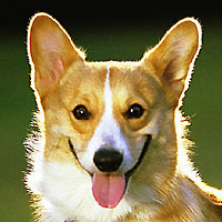 �I�����E�E�E