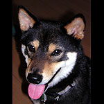 ��i����j����