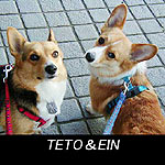 TETO������EIN�����