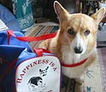 �����킹�C�b�p�C�̃A�C�������