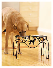 ���N�I�Ȃ��H����