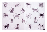 ���т�����ɔ��������A�b�v�I