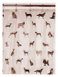 ���������J�[�e���@����`���