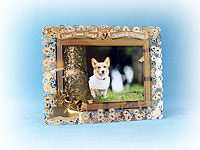 �v���o�̎ʐ^������܂�