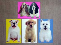 3D �G���x���[�v