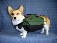 ���@�\�o�b�N�p�b�N�Z�b�g