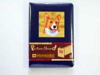 �R�[�M�[�A���o��