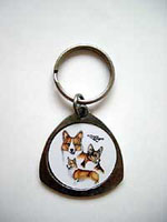 �R�[�M�[�E�L�[�z���_�[�i���ނ��ь^�j