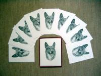 �R�[�M�[���^�[�Z�b�g