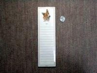 �R�[�M�[�����O�����p�b�h�i�}�O�l�b�g�t���j