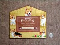 �R�[�M�[�t�H�g�X�^���h