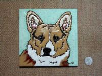 �R�[�M�[�^�C��