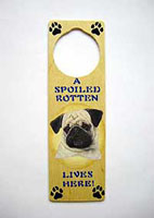 �p�O�E�h�A�n���K�[