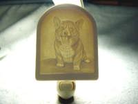 �R�[�M�[�t�b�g���C�g