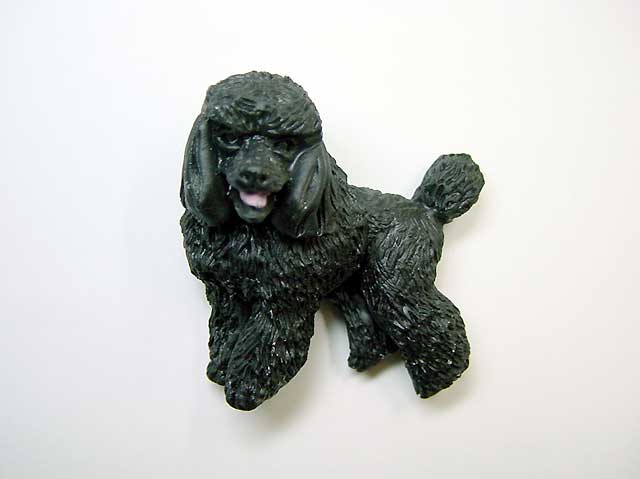 ���킢���Ȃ��v�[�h��(��)