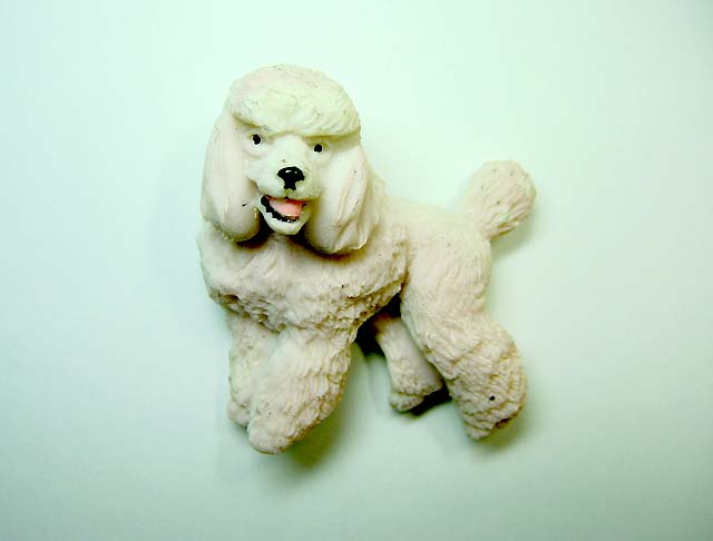 ���킢���Ȃ��v�[�h��(��)