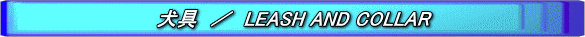 LEASH AND COLLAR