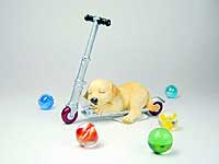 SLEEPY DOG �V���[�Y���L�b�N�{�[�h�̃��u��