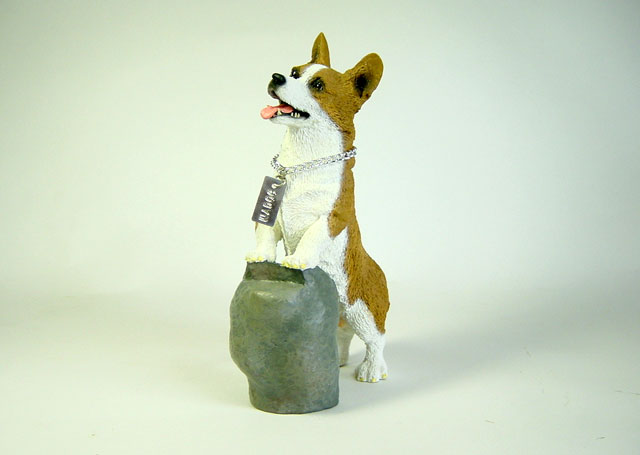 MY DOG �R�[�M�[�i���j