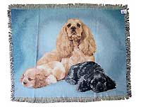 PICKEN�^�y�X�g���[