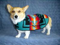 �T���^�t�F�R�[�g