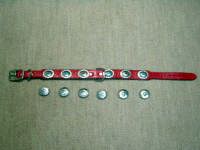 �T���^�t�F�J���[���J���`��