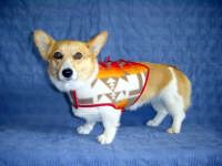 �T���^�t�F�x�X�g