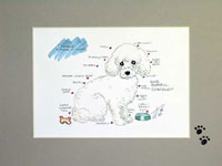 EVERFAITHFYL �F���V���[�Y