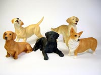 SIMPLE DOG �V���[�Y