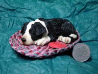 �X���[�s���O�h�b�O�I�[�i�����g