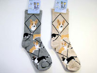 WAN WAN �\�b�N�X�e��