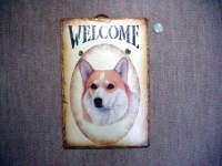 �R�[�M�[�E�F���J���{�[�h