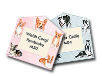 �①�ɁE�f�X�N�܂��Ƀs�^�b�I