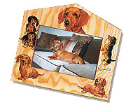 ������L�x��64��ށI