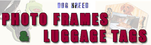 ������L�x�ł��l�i���荠�I