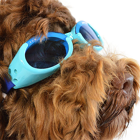 犬用ゴーグル Doggles ILS