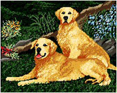 �N���b�N�Ŋg��I