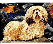 �N���b�N�Ŋg��I