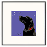 Black Lab & Stars